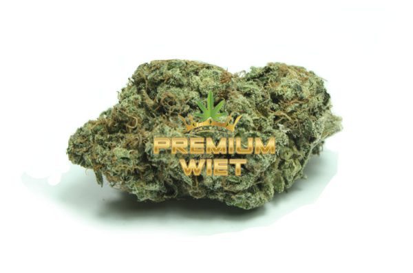 Bruce Banner