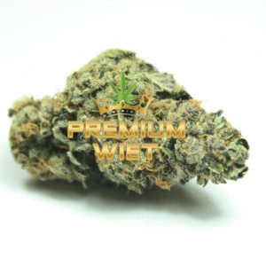 Cali Dream