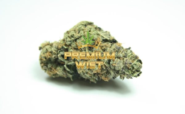 Cali Dream