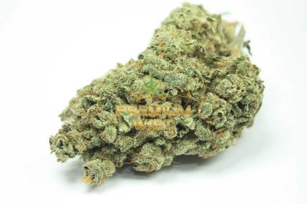 Amnesia Haze - Afbeelding 3