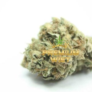Silver Haze