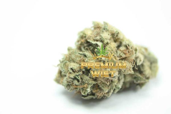 Silver Haze