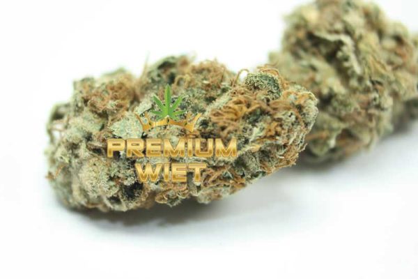 Silver Haze - Afbeelding 2