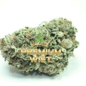 White Widow