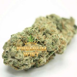 Kush OG