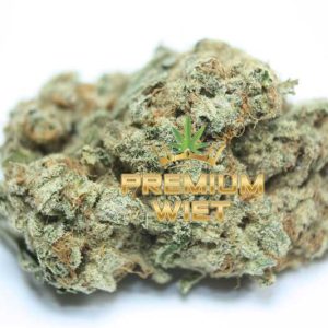 Gorilla Glue