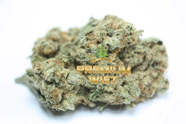 Gorilla Glue