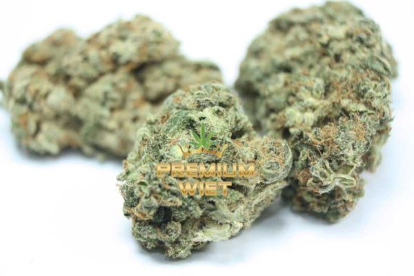 Gorilla Glue - Afbeelding 2