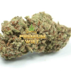 Girl Scout Cookies