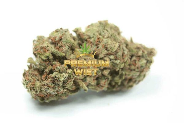 Girl Scout Cookies