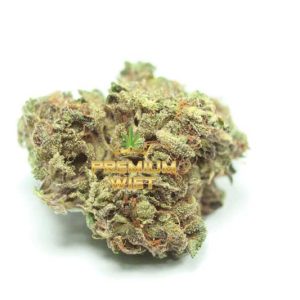 Lava Cake