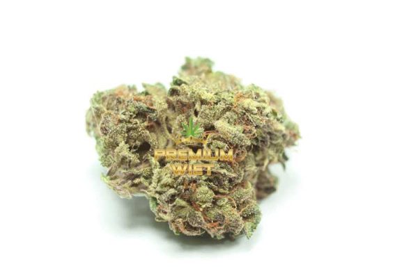 Lava Cake