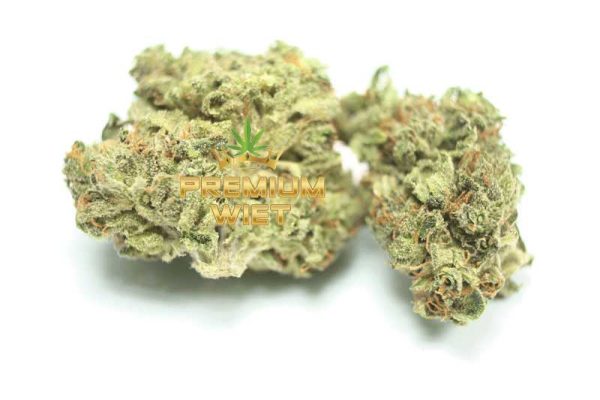 Lava Cake - Afbeelding 2