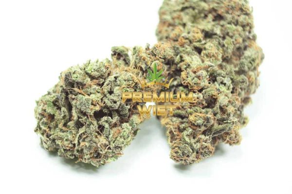 Northern Lights - Afbeelding 2