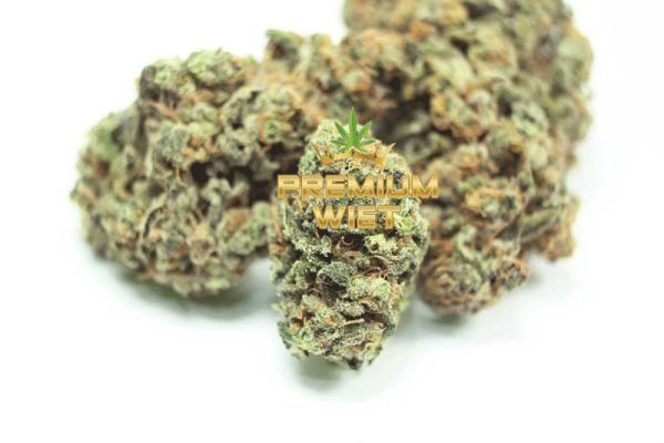 Northern Lights - Afbeelding 3