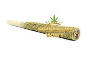 King Size Thunder Pre Roll Gorilla Glue